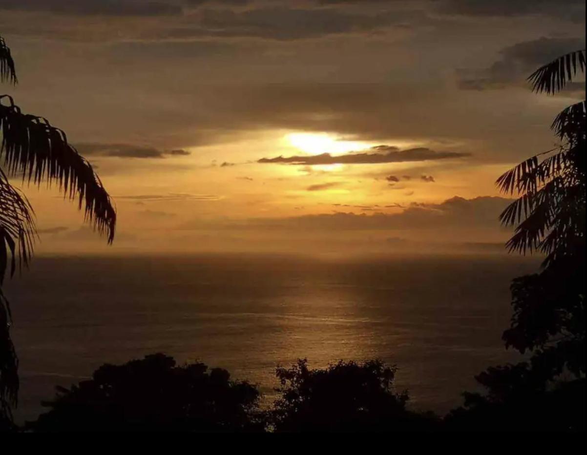 Beautiful Rustic Treehouse Hotel Manuel Antonio Quepos Dış mekan fotoğraf