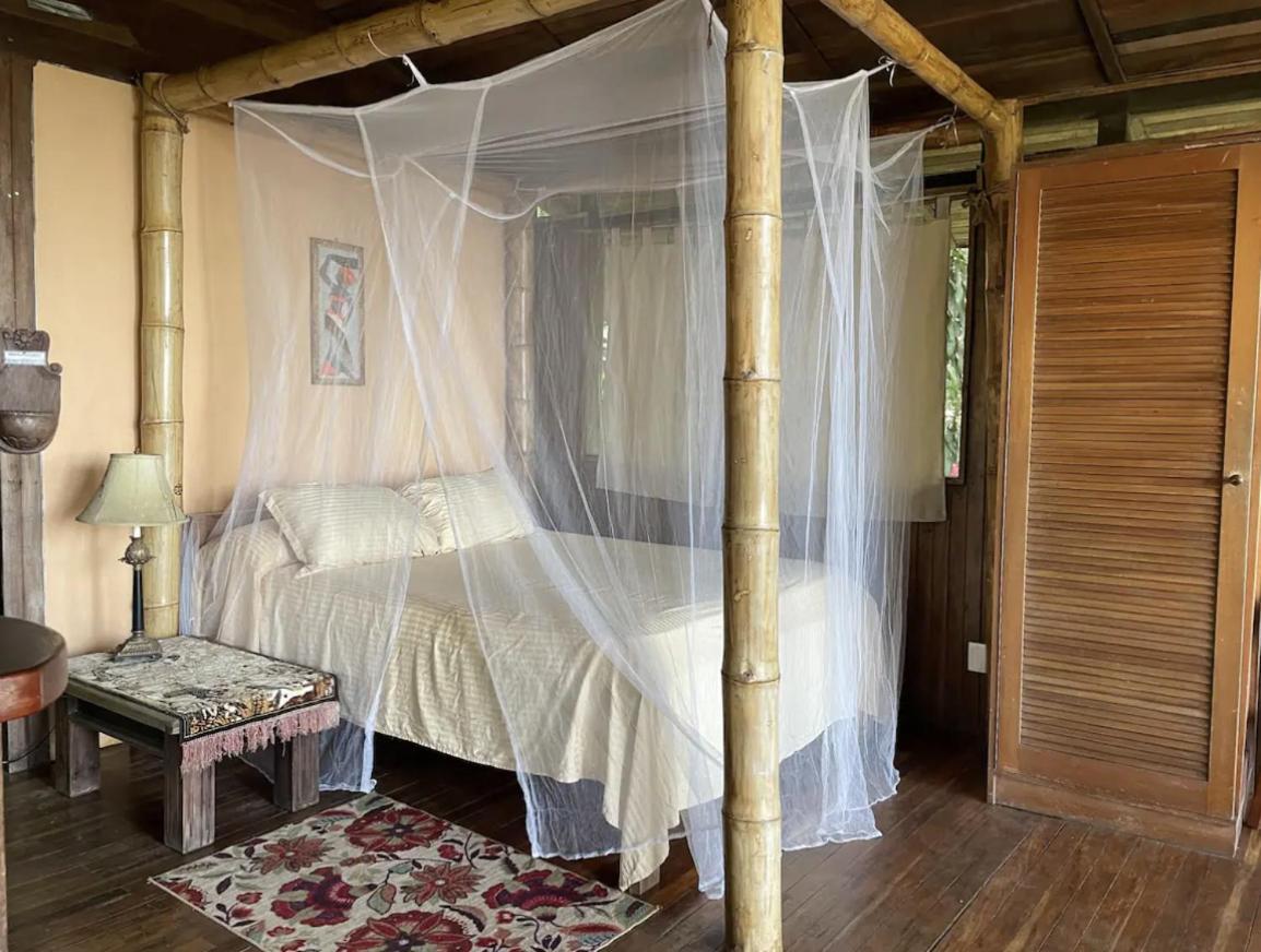 Beautiful Rustic Treehouse Hotel Manuel Antonio Quepos Dış mekan fotoğraf